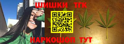 стафф Новозыбков