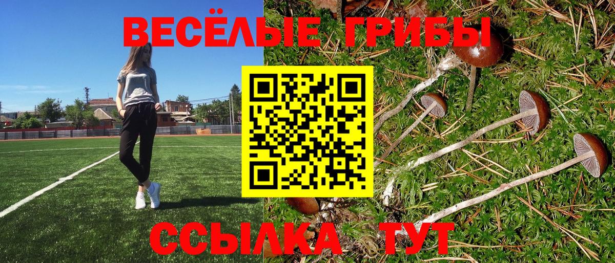 Озёры  Псилоцибиновые грибы ЛСД  Вход с VPN 